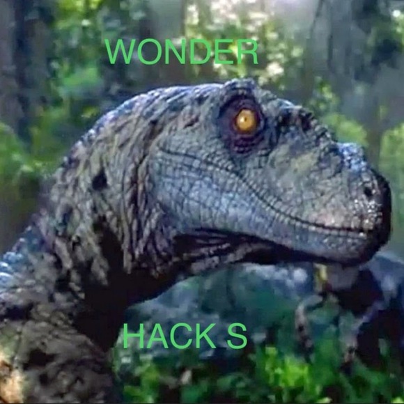 wonderhacks